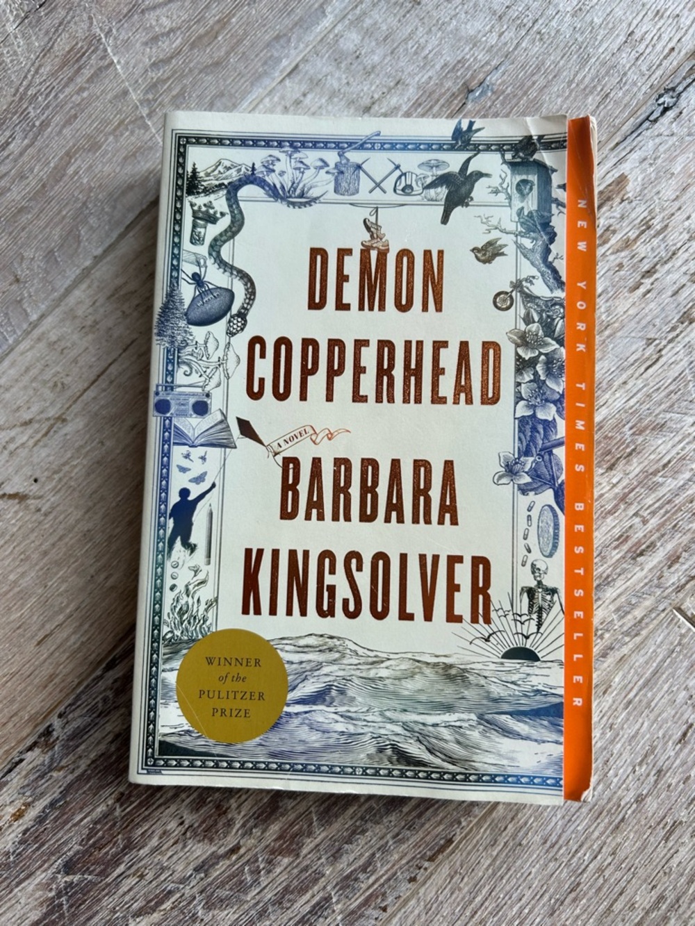Demon Copperhead by Barbara Kingsolver